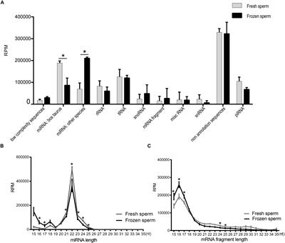 Cryopreservation Induces Alterations of miRNA and mRNA Fragment Profiles of Bull Sperm